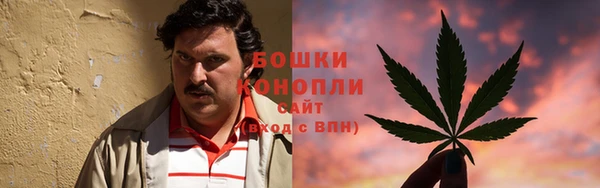 твердый Нефтегорск