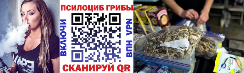Псилоцибиновые грибы GOLDEN TEACHER  наркотики  Красный Холм 